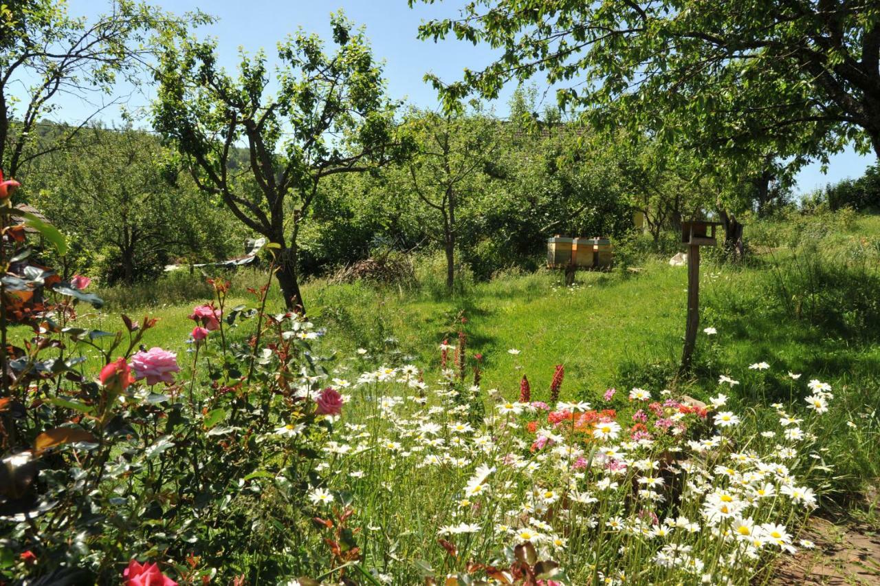 Couleurs Nature Thanvillé Extérieur photo